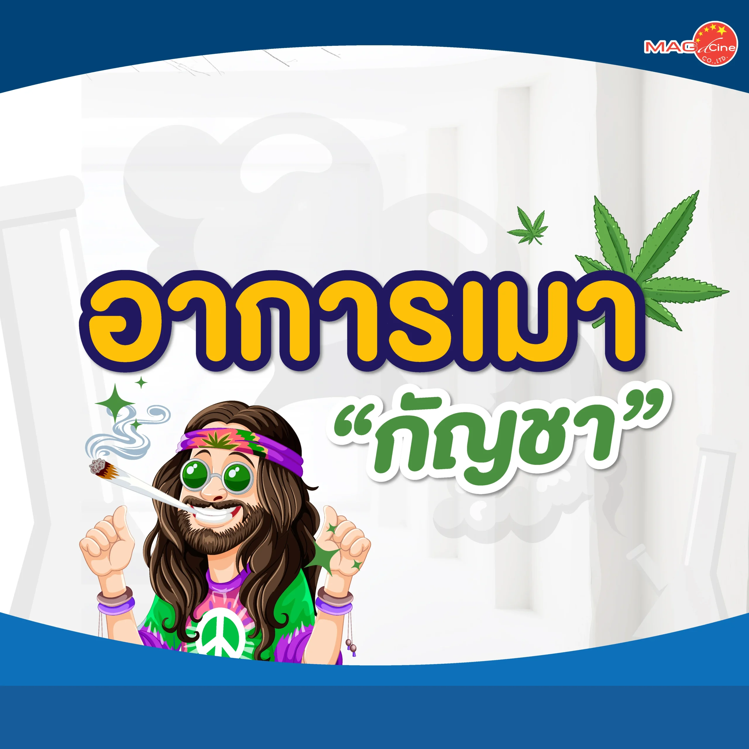 ชุดตรวจสารเสพติด ที่ตรวจสารเสพติด ชนิดจุ่ม ชนิดหยด เครื่องมือทางการแพทย์ 102 MAG 01 scaled ชุดตรวจสารเสพติด ที่ตรวจสารเสพติด ชนิดจุ่ม ชนิดหยด เครื่องมือทางการแพทย์