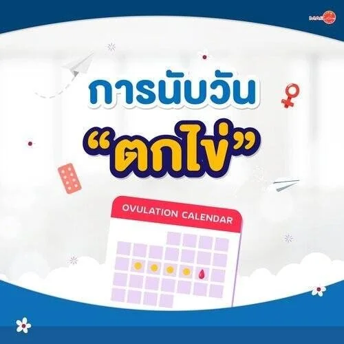 ชุดตรวจสารเสพติด ที่ตรวจสารเสพติด ชนิดจุ่ม ชนิดหยด เครื่องมือทางการแพทย์ 103 รู้จักวัน ตกไข่ ไข่ตก
