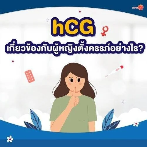 ชุดตรวจสารเสพติด ที่ตรวจสารเสพติด ชนิดจุ่ม ชนิดหยด เครื่องมือทางการแพทย์ 106 ฮอร์โมน hCG เกี่ยวข้องกับผู้หญิงตั้งครรภ์อย่างไร
