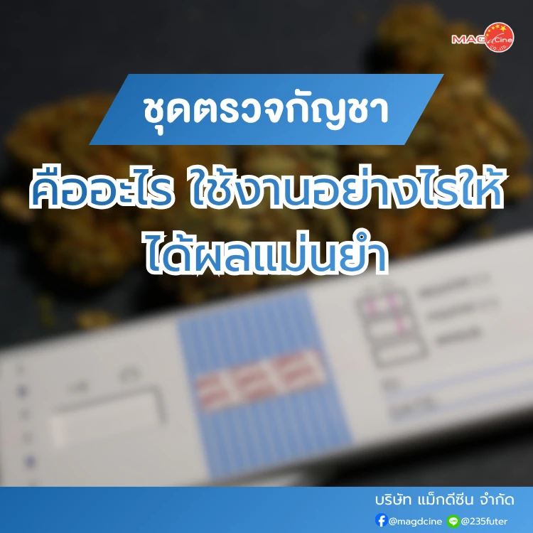 ชุดตรวจสารเสพติด ที่ตรวจสารเสพติด ชนิดจุ่ม ชนิดหยด เครื่องมือทางการแพทย์ 106 ชุดตรวจกัญชา