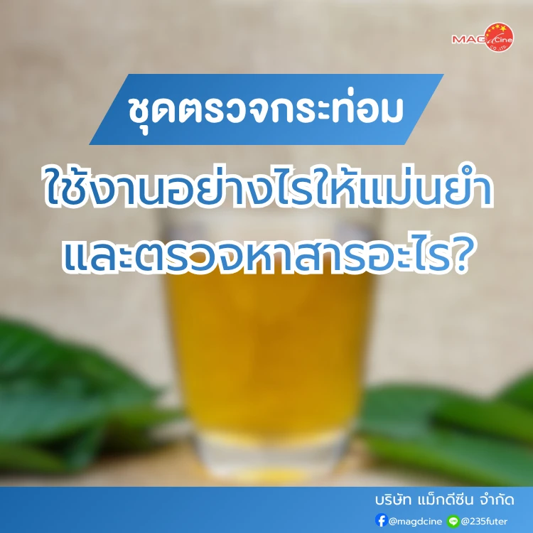 ชุดตรวจสารเสพติด ที่ตรวจสารเสพติด ชนิดจุ่ม ชนิดหยด เครื่องมือทางการแพทย์ 104 ชุดตรวจกระท่อมคืออะไร
